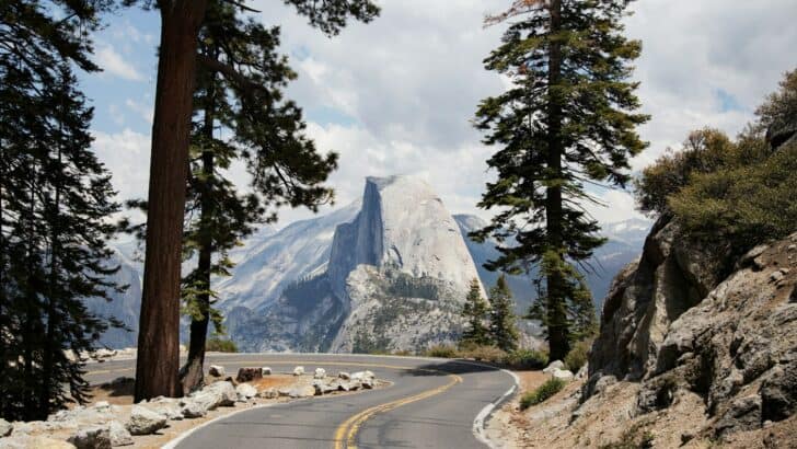 23 Places Where You&rsquo;re Most Likely to Encounter a Wild Animal