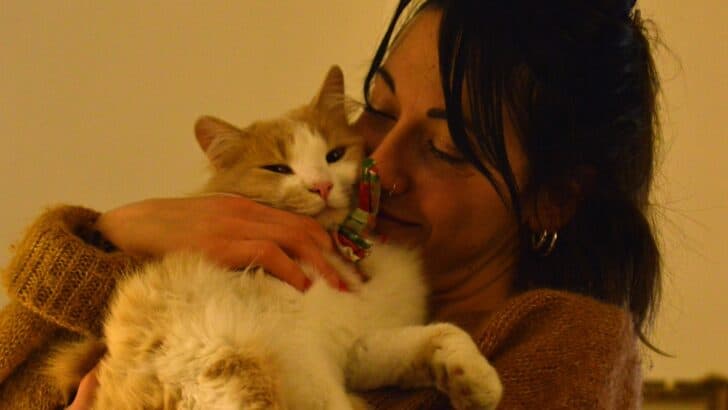 12 Unexpected Health Benefits (For Humans) of Owning a Cat