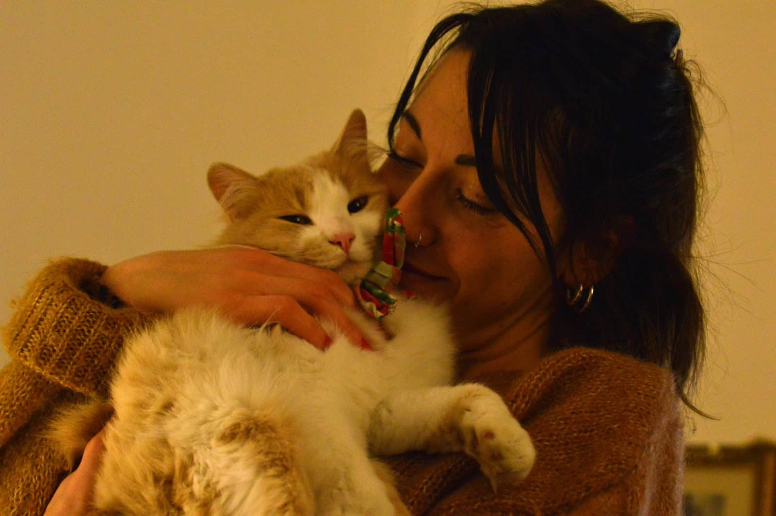 12 Unexpected Health Benefits (For Humans) of Owning a Cat