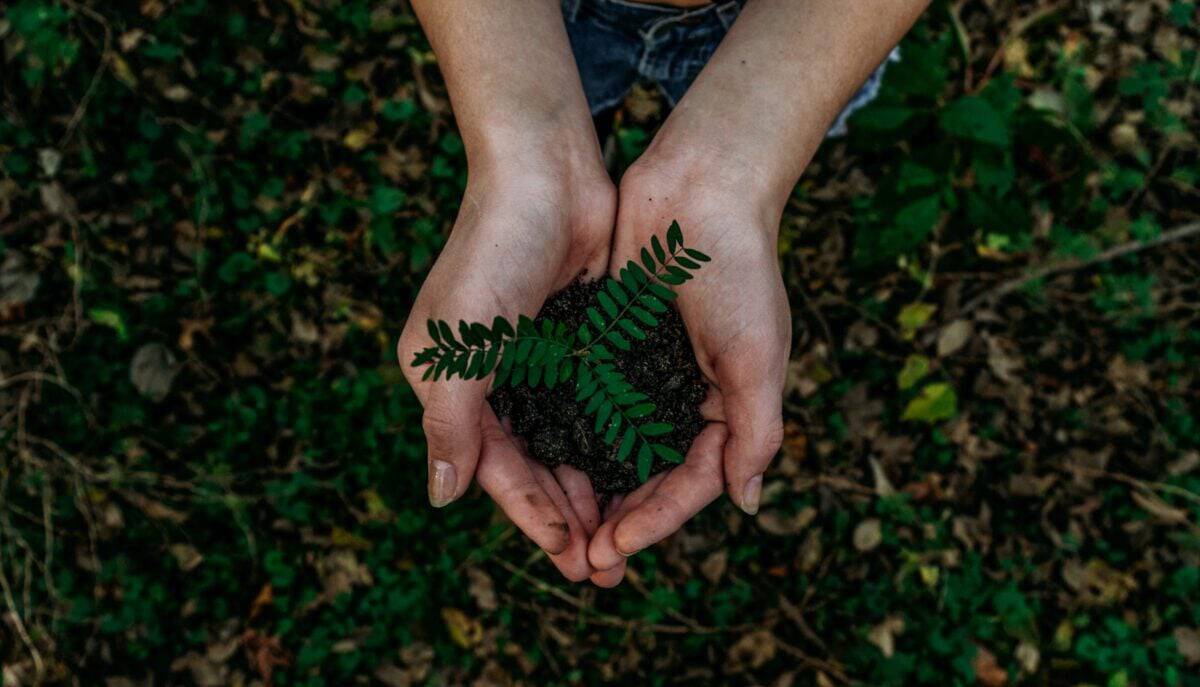 Promoting Sustainability