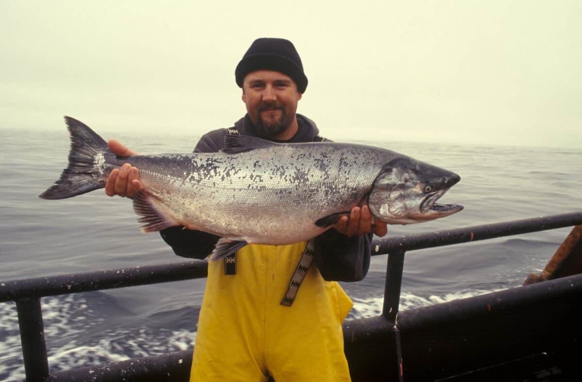 Man carrying King Salmon