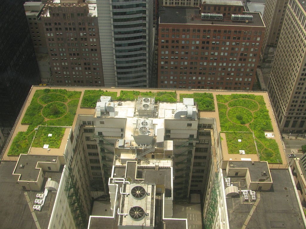 Green roof 