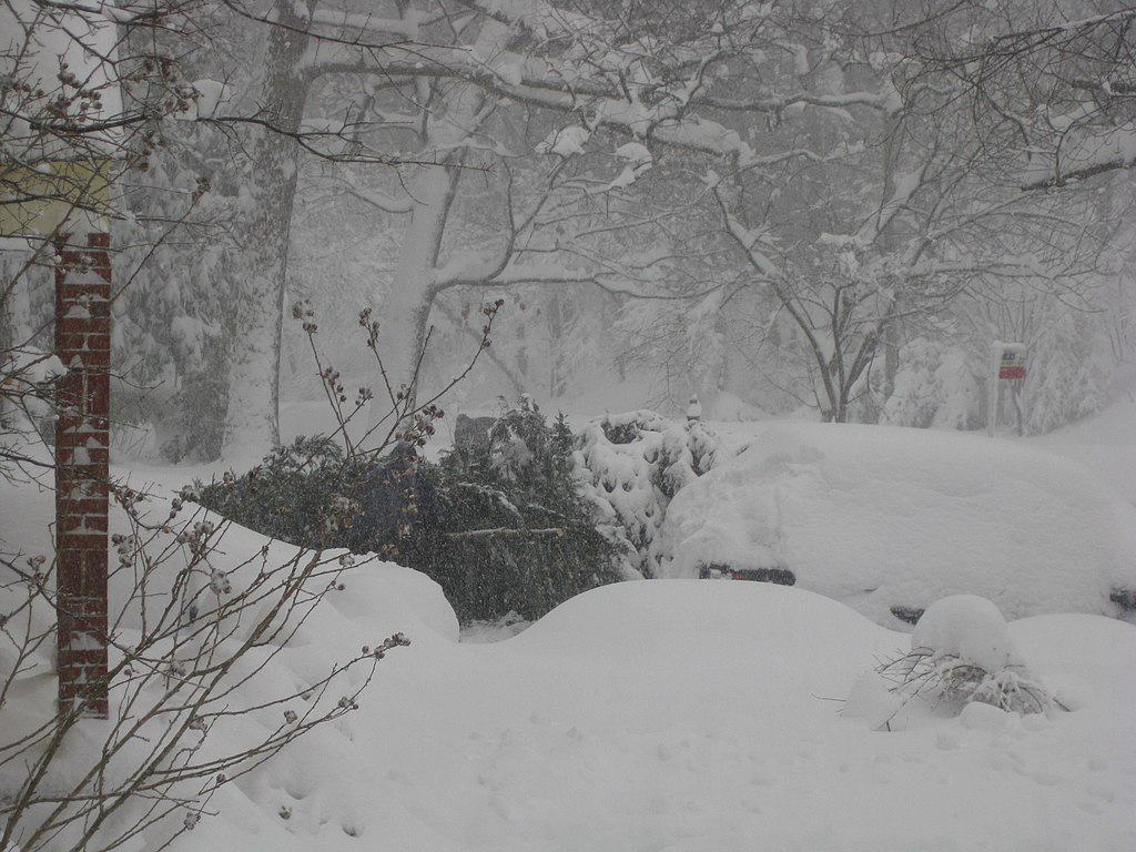 February 5&ndash;6, 2010 North American blizzard in Washington, D.C.