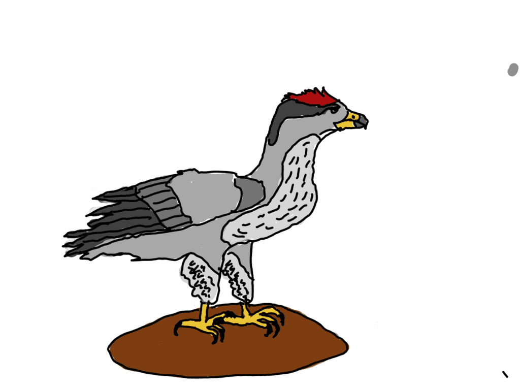 Haast's eagle