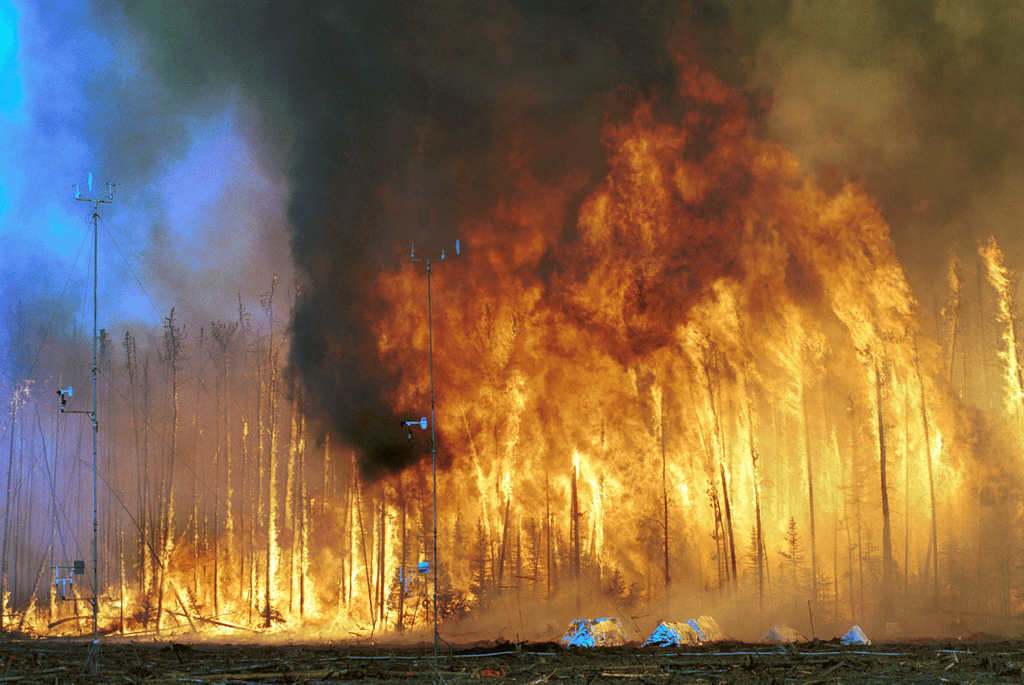 wildfire