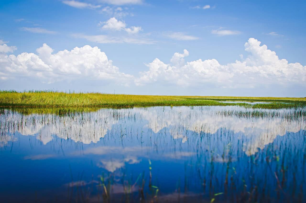 Everglades National Park: A Subtropical Wilderness (image credits: pixabay)
