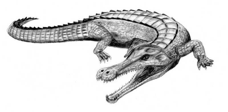 The Influence of Sarcosuchus in Popular Culture (image credits: wikimedia)