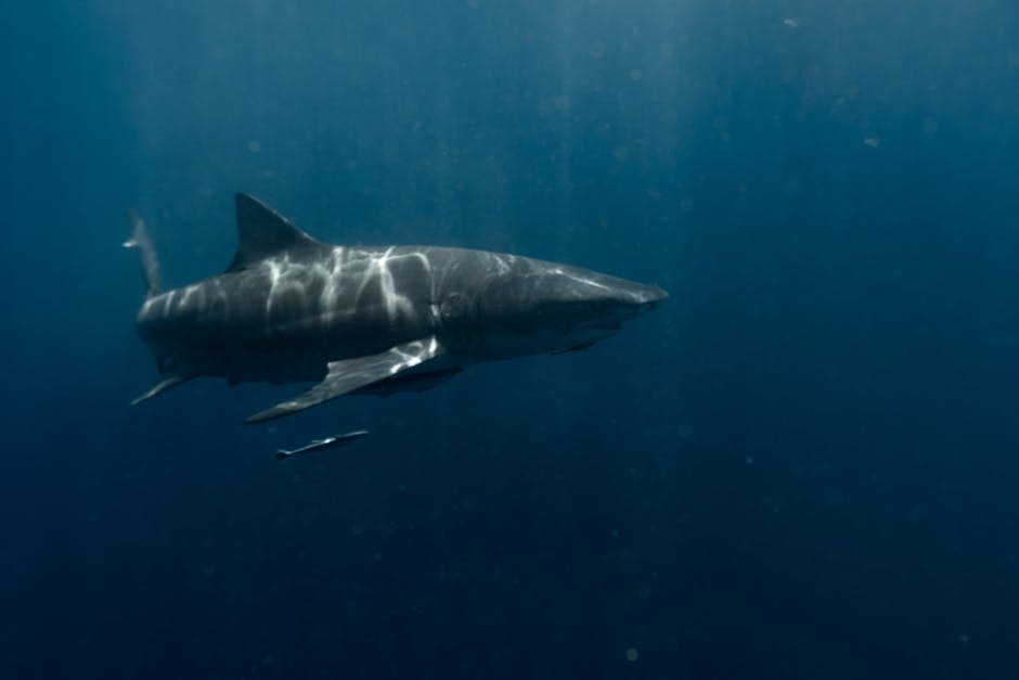 The Unexpected Beach Visitor (image credits: pexels)