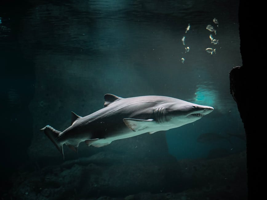 The Spearfisher's Underwater Standoff (image credits: pexels)