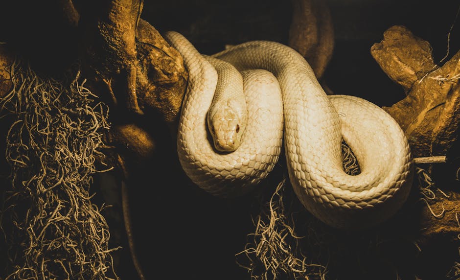 Snakes: The Reptilian Seismologists