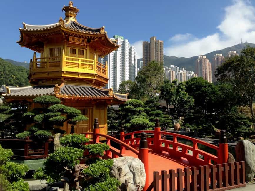 Kowloon Walled City's Natural Rebirth (image credits: pexels)