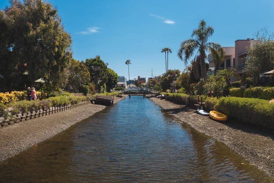 The Green Canals of Venice (image credits: pexels)