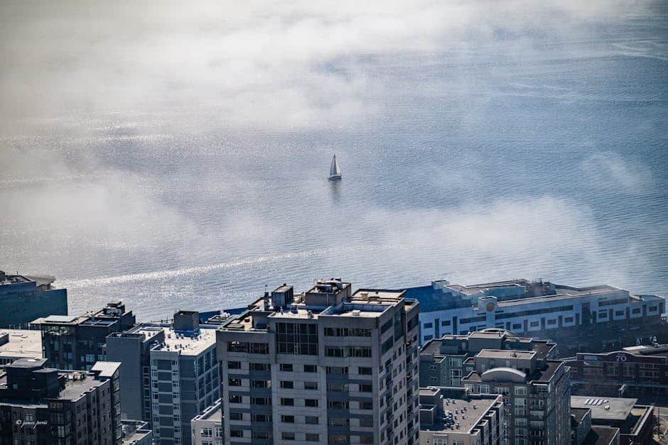 Seattle, Washington (image credits: pexels)