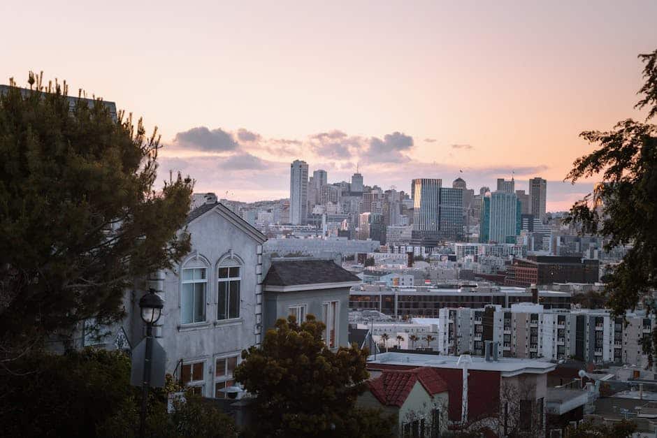 The 1989 Loma Prieta Earthquake (image credits: pexels)