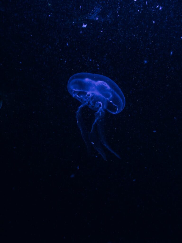 A mesmerizing image of a glowing blue jellyfish floating in the deep ocean.