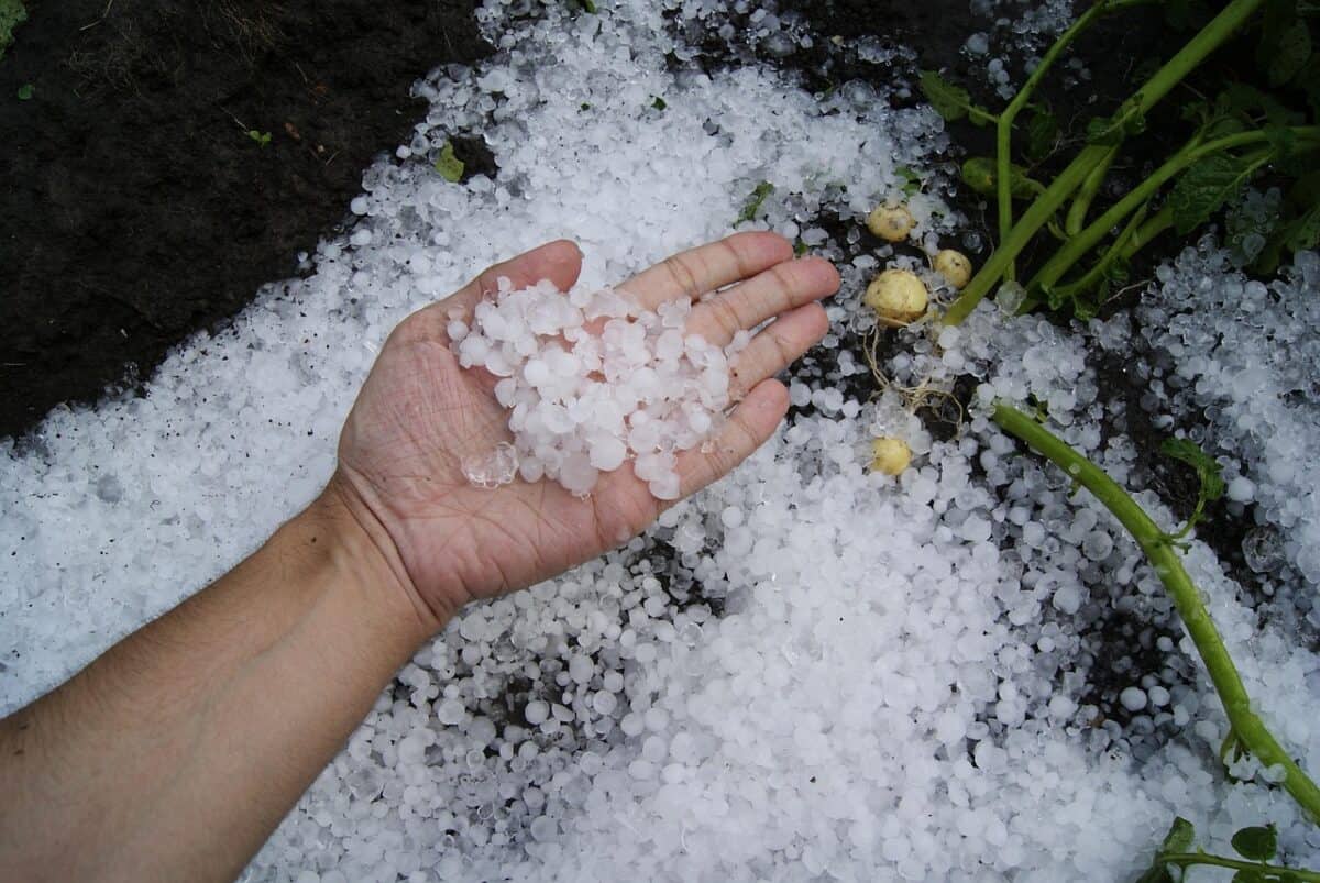 first snow, hail, summerotakoeleto, hail, hail, hail, hail, hail