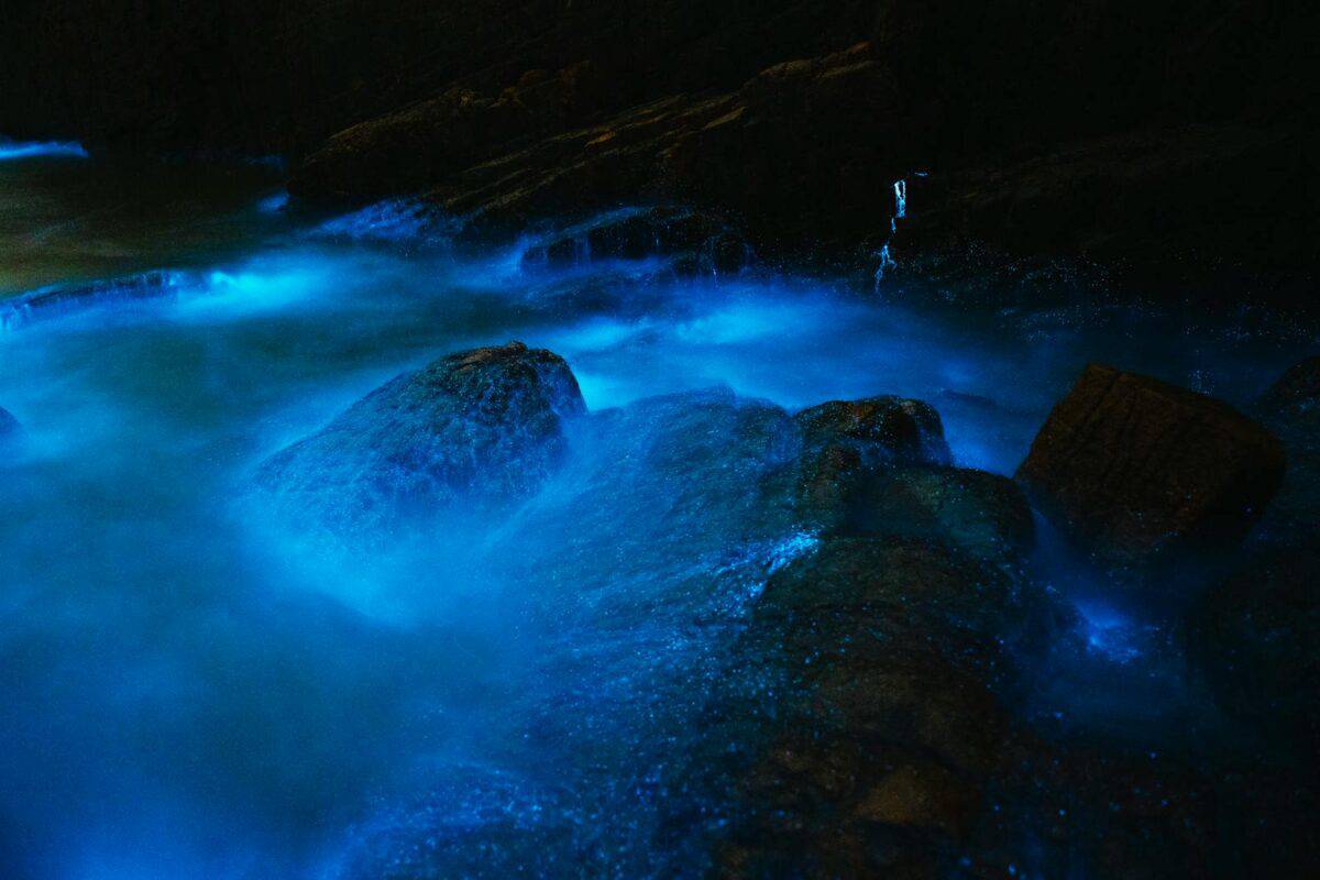 Captivating view of bioluminescent water illuminating rocks in a dark, serene setting.