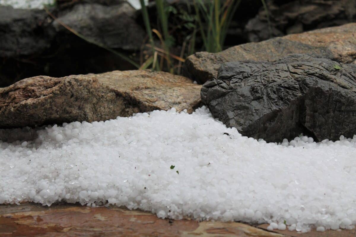 hail, hailstone, ice, rain, rocks, hailstorm, stones, weather, climate, nature, hailstorm, hailstorm, hailstorm, hailstorm, hailstorm