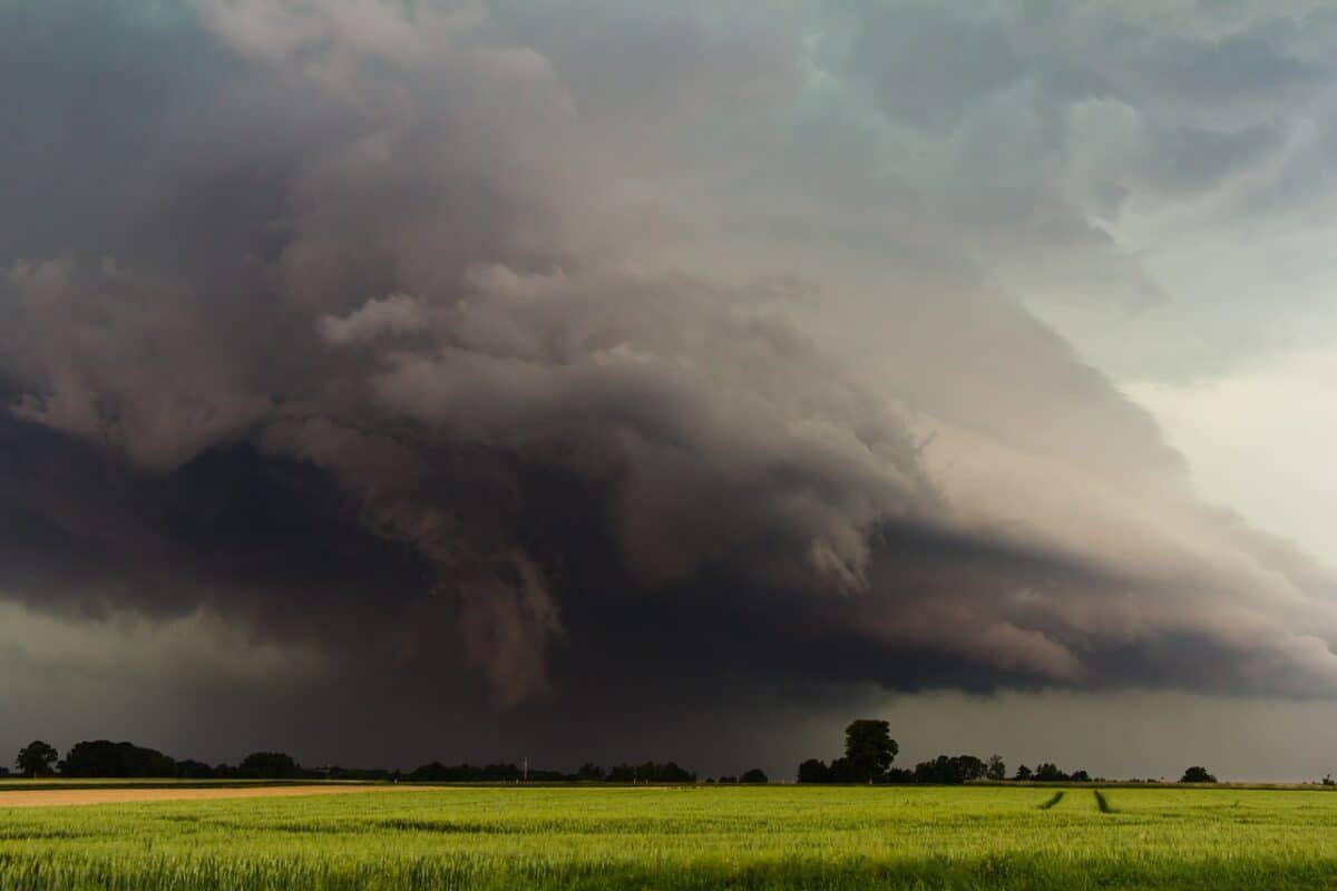 thunderstorm, storm, cumulonimbus, storm hunting, meteorology, monster, wall cloud, heaven, threatening, hail storm, dramatic sky, super cell, squall line, the atmosphere, a thunderstorm cell, dark clouds, dramatic, thundercloud, thunderstorm, thunderstorm, thunderstorm, thunderstorm, thunderstorm, storm, storm, meteorology, monster, monster, monster, wall cloud, wall cloud, hail storm, hail storm, dramatic sky, dark clouds