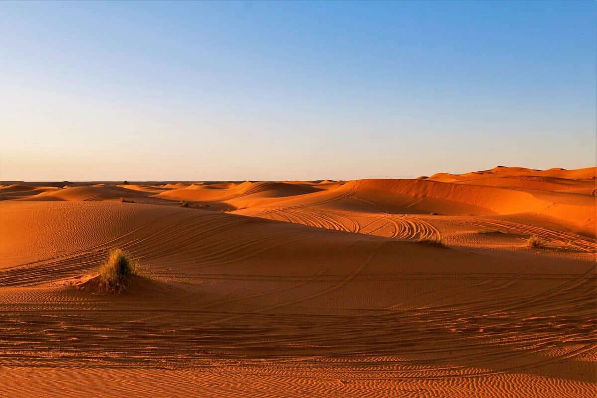 desert, africa, sahara, sunset, nature, dune, adventure, sand dunes, sahara, sahara, sahara, sahara, sahara