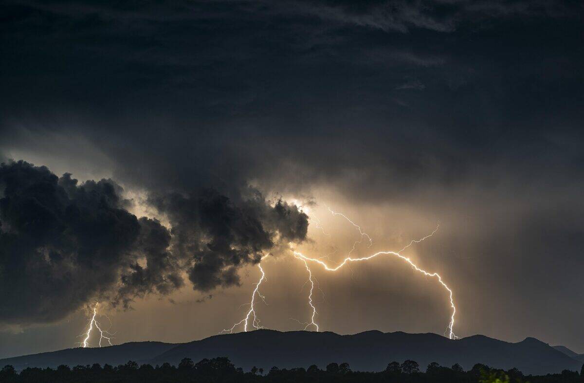 thunder, flash, storm, sky, night, electricity, clouds, dark, nature, energy, black, atmospheric, mystical, landscape, threatening, threat, light, thunder, night sky, thunder, storm, storm, storm, storm, storm
