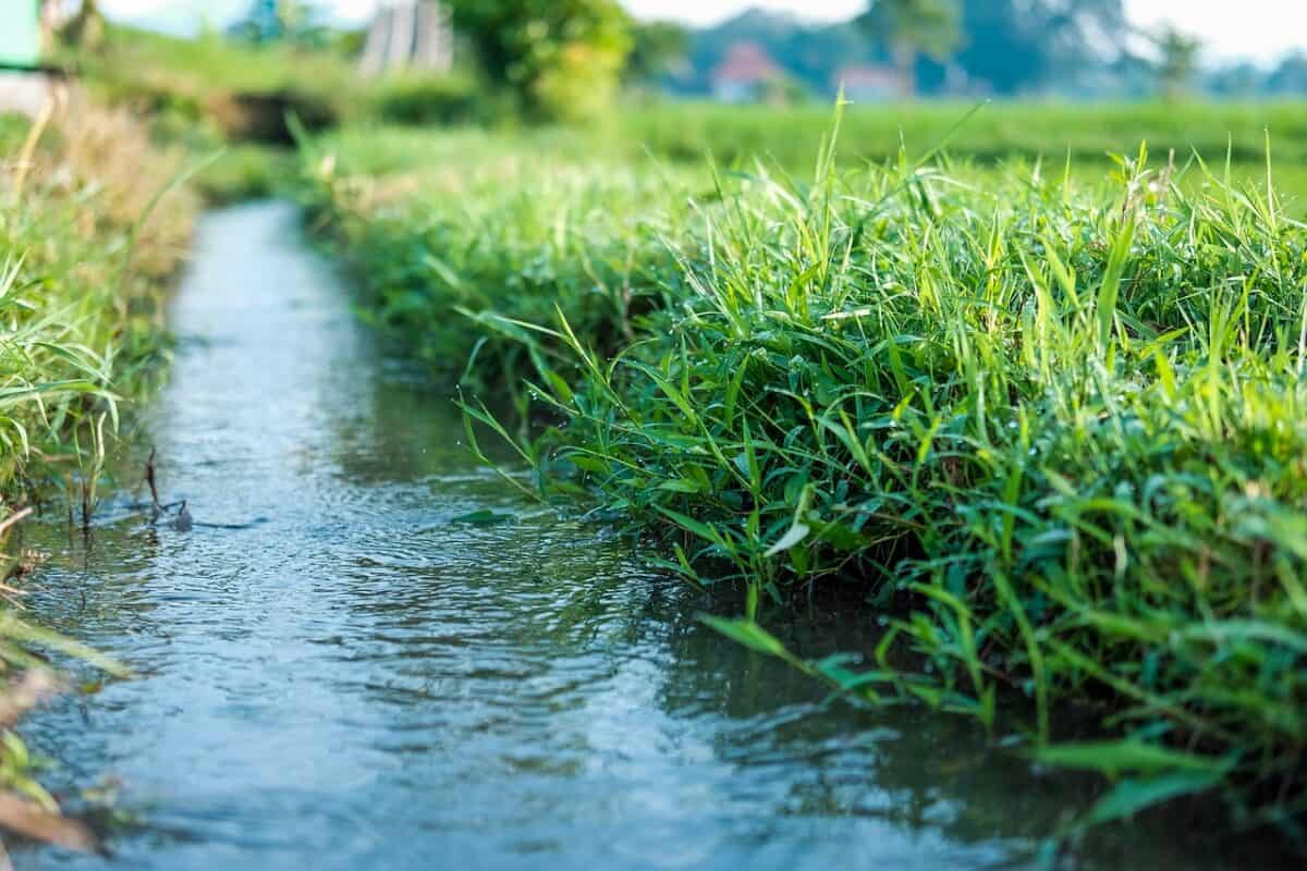 natural, water, green, grass, plant, wet, rain, agriculture, press, nature, gardening, casting, rural, field, land, landscape, drought, garden, dew, leaf, irrigation, irrigation, irrigation, irrigation, irrigation, irrigation