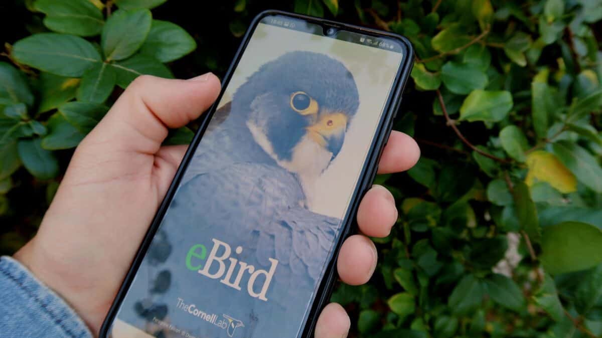 person holding black samsung android smartphone