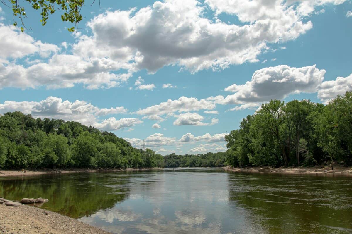 grüne Bäume am Fluss unter blauem Himmel und weißen Wolken tagsüber