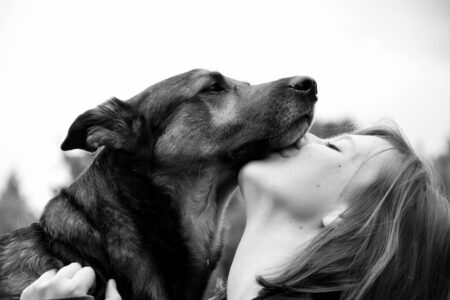 14 Tips for Keeping Your Dog Safe During Storms