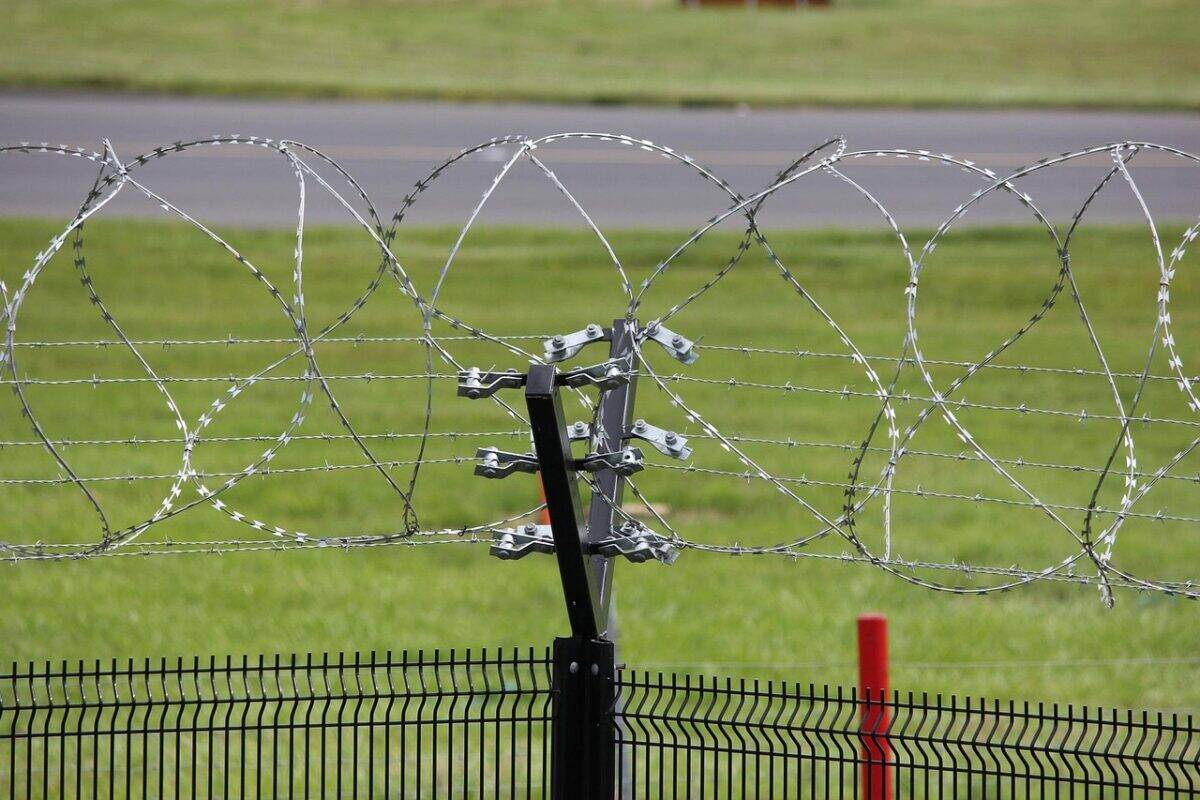 electric fence, wire, barbed, security, barrier, power, safety, voltage, criminal, boundary, shock, protection, current, forbidden, protect, closed, enclosure, prohibited, safe, prison, jail, enclose, wired, danger, keep out, metal, sharp, razor, system, crime, deterrent, defense, post, private, perimeter, border, guard, secure, dangerous, trespass, prevent, green email, green security, green border, green safety, green prison, green metal, green power, electric fence, electric fence, electric fence, electric fence, electric fence
