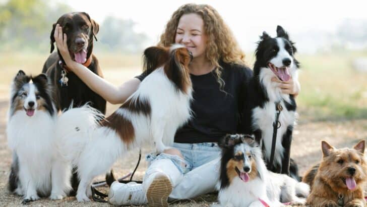 15 Times Dogs Showed Pure Love That Melted Millions of Hearts