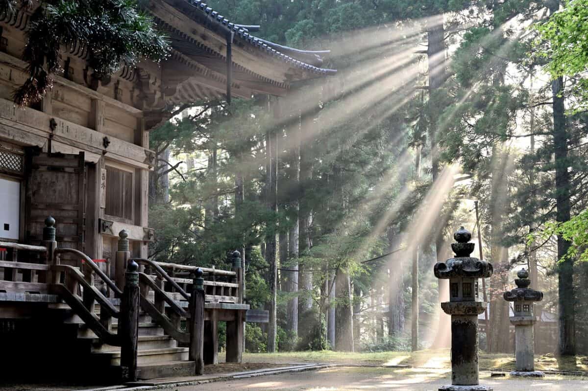 sun rays, nature, forest, koyasan temple, fog, sun beams, trees, japan, japan, japan, japan, japan, japan