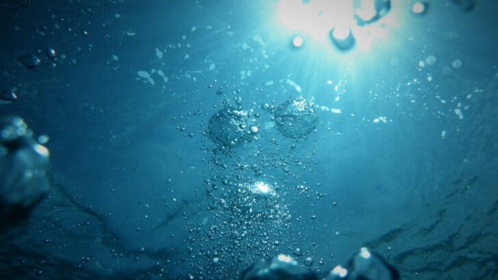 Why the Western U.S. Could Face a Water Collapse by 2050