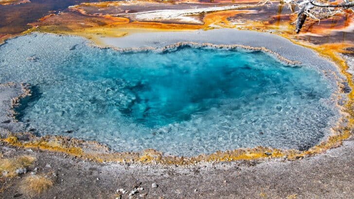 The Wild Secret Hidden Beneath Yellowstone&rsquo;s Lakes