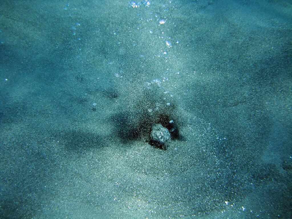 Hydrothermal vents.