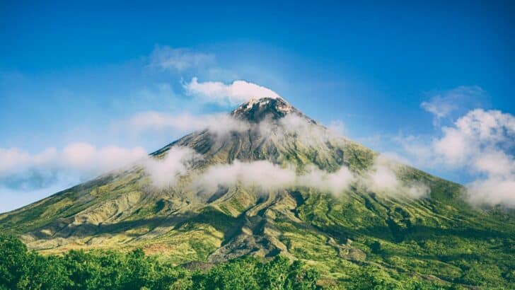 Top Volcano Trails Where You Might Spot Rare Wildlife