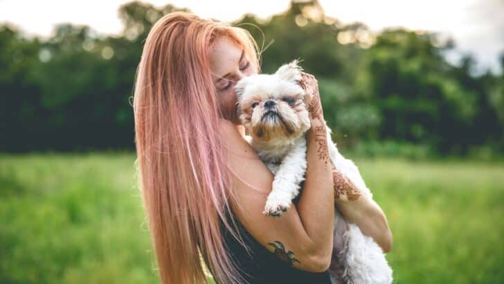 7 Human Habits that Drive Dogs Crazy and 7 that Make Them Love You More
