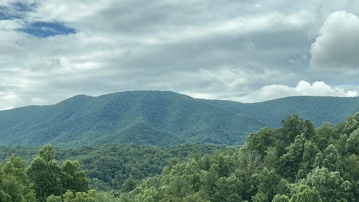 The Fog That Triggers Radio Silence in the Appalachian Mountains