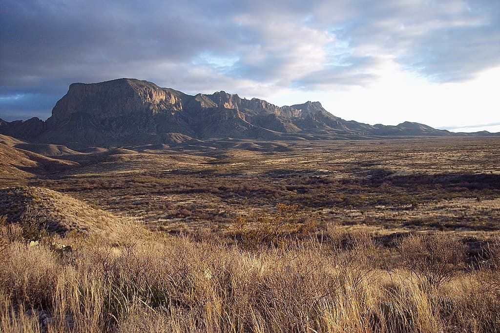Chihuahuan Desert