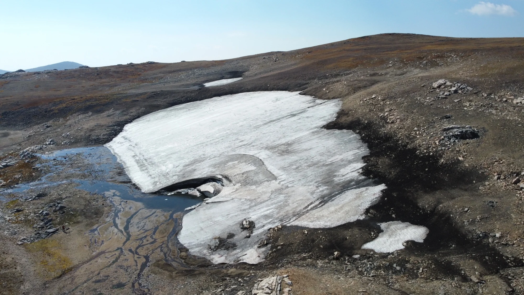 This 6000-year-old Ancient Forest Was Just Discovered Beneath a U.S. Lake in Rocky Mountains