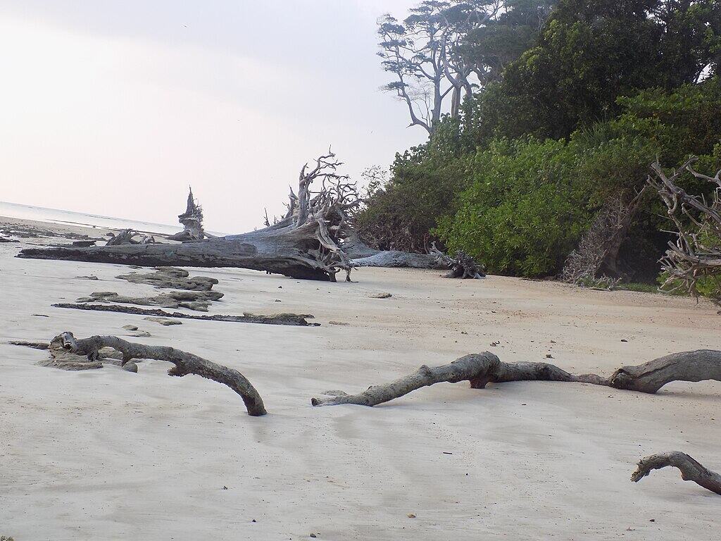 Destroy nature by Indian Ocean earthquake