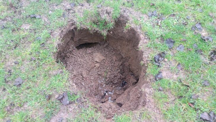 What’s Causing Sinkholes to Multiply in Florida?