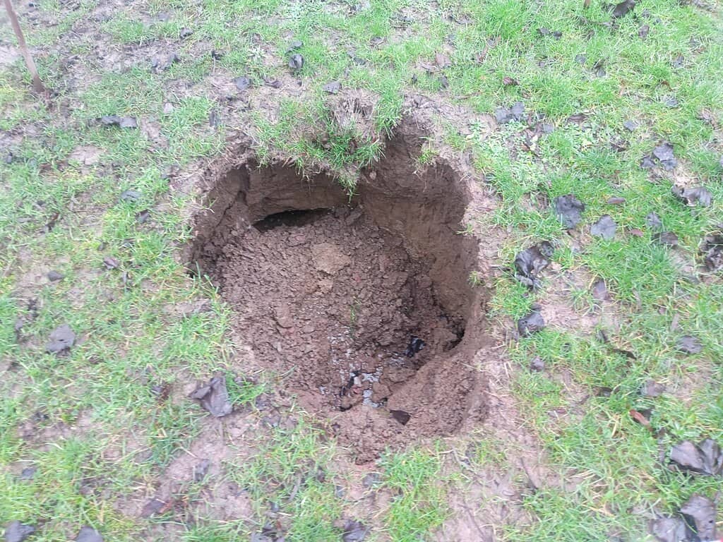 Sinkholes