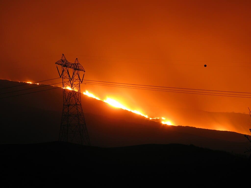 wildfire
