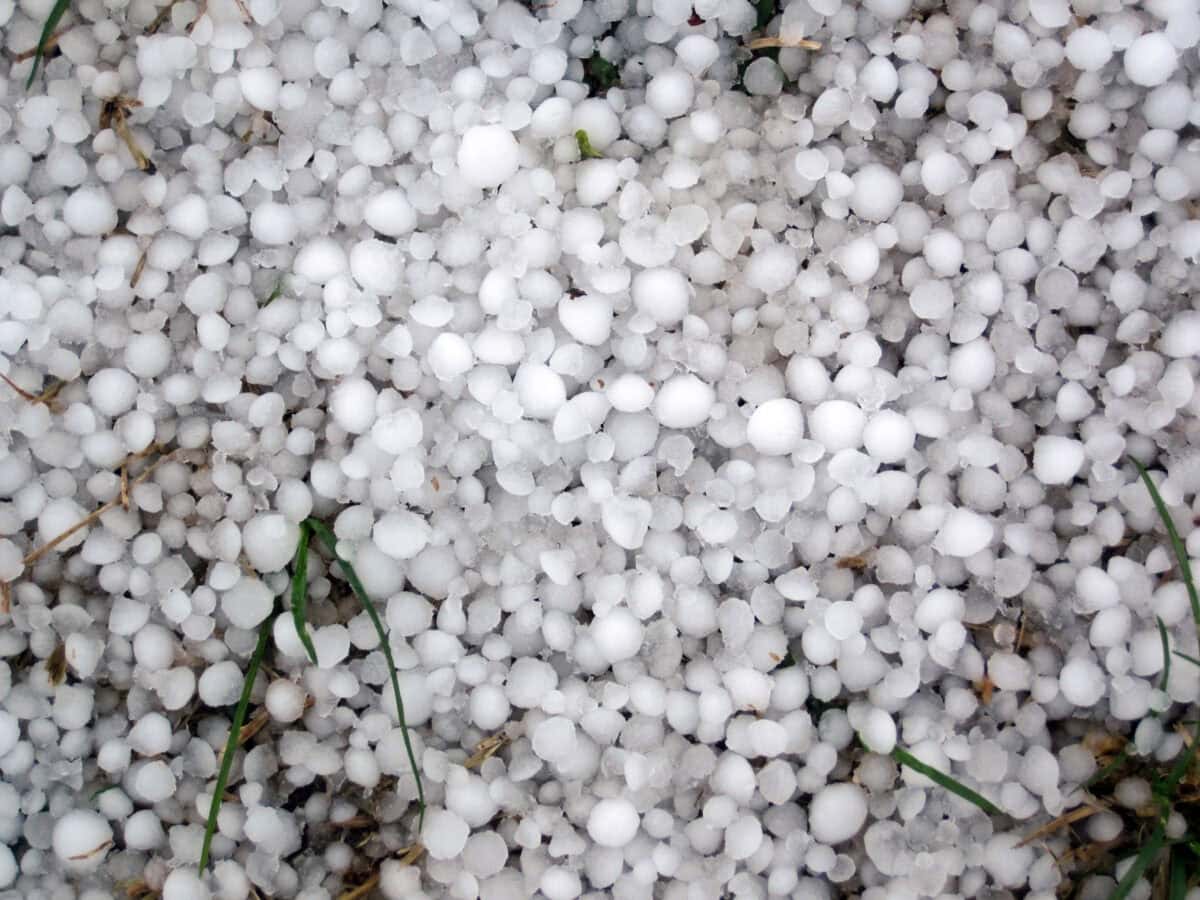 Hailstorm