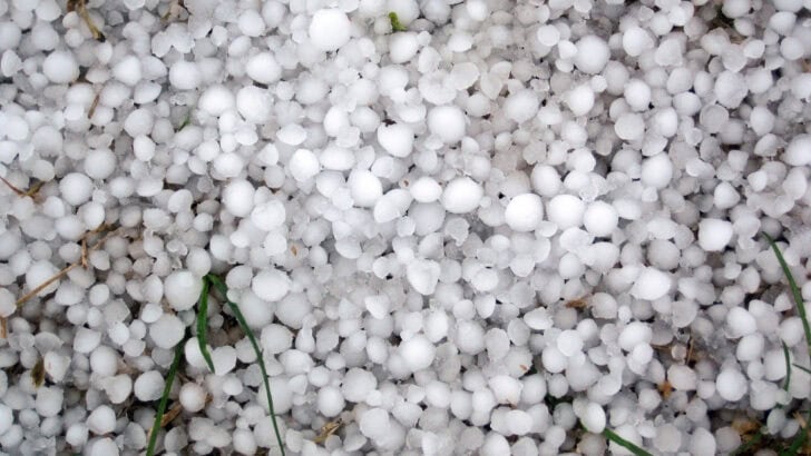 The Largest Hailstorm That Shocked U.S. Farmers