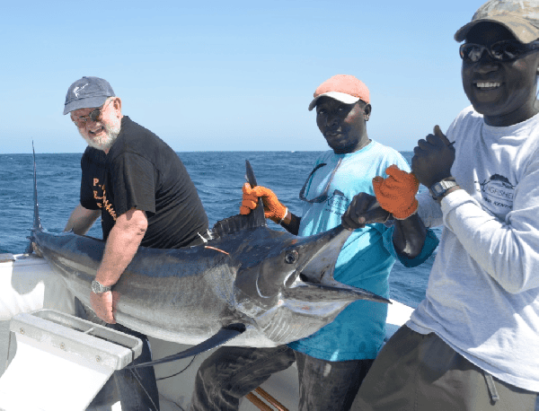 Black Marlin. 