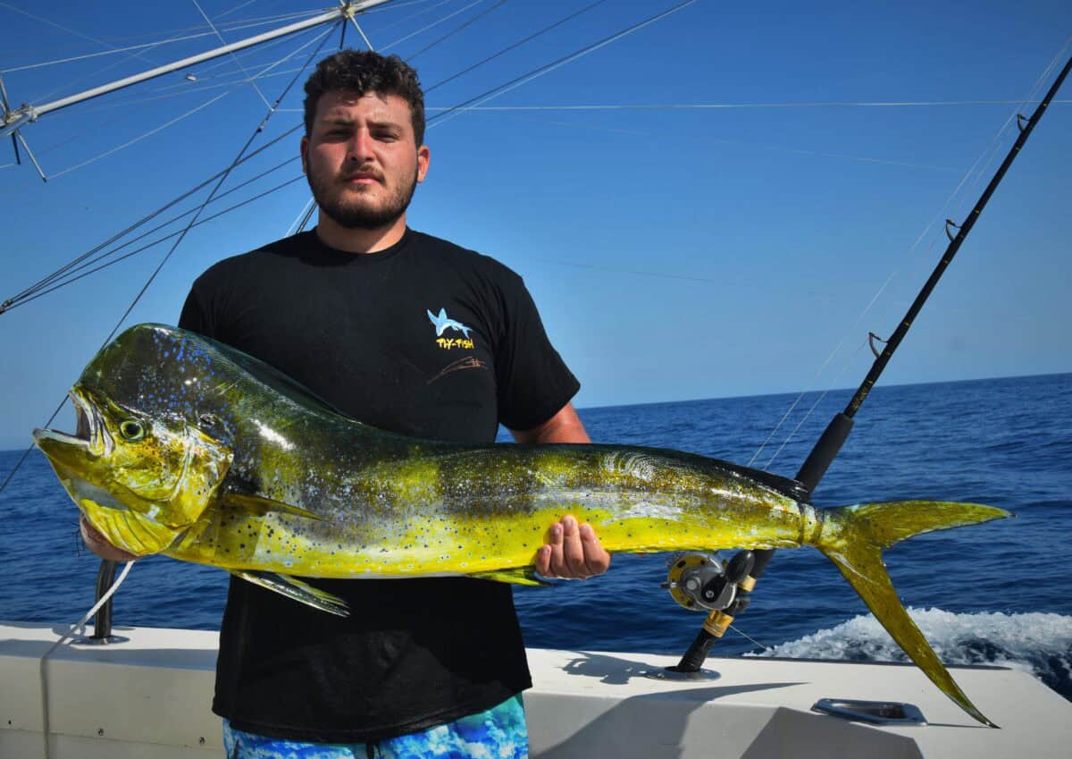 Dolphinfish