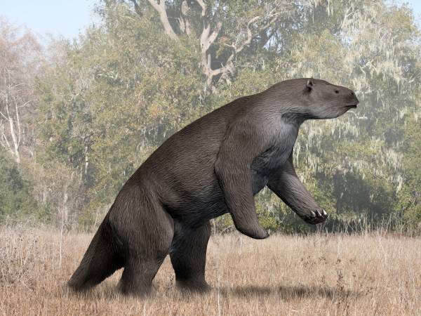 Illustration of giant sloth