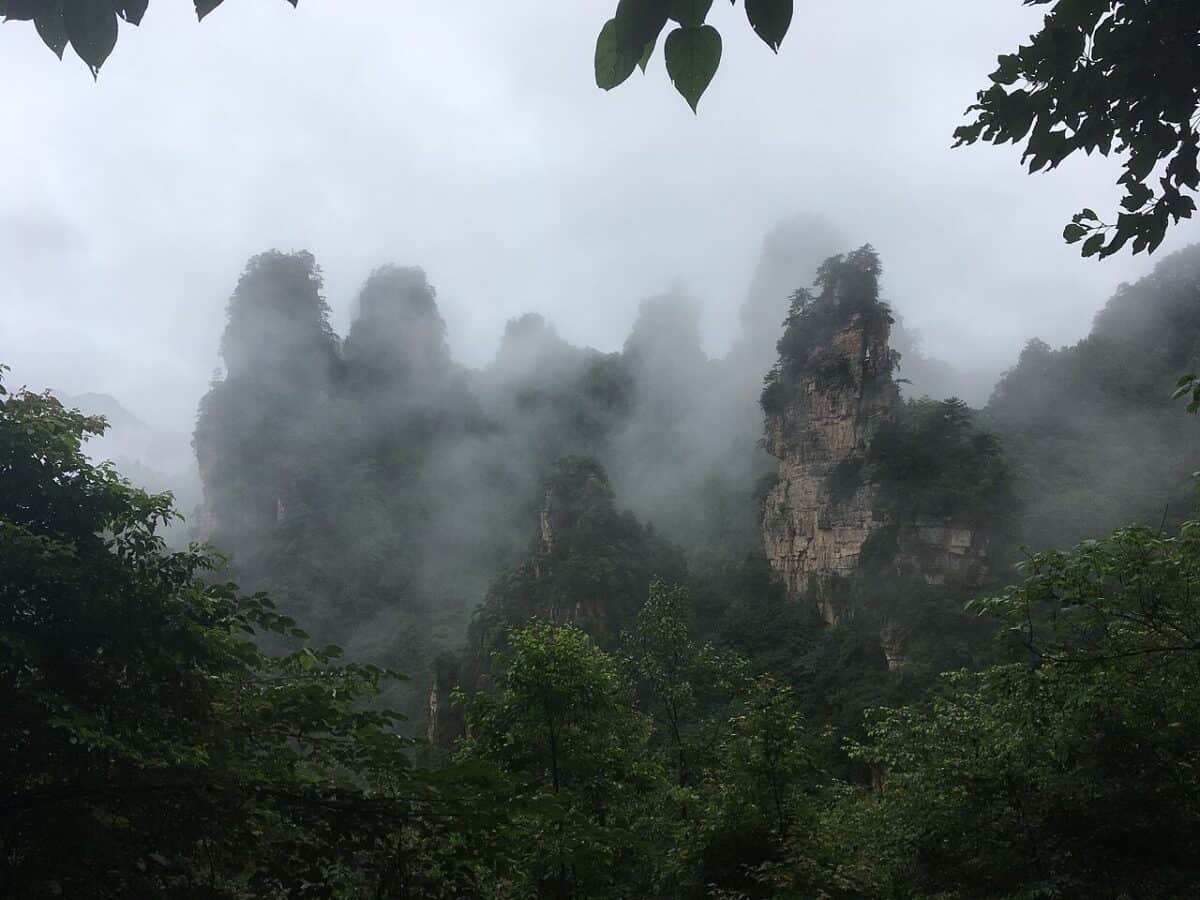 Tianzi